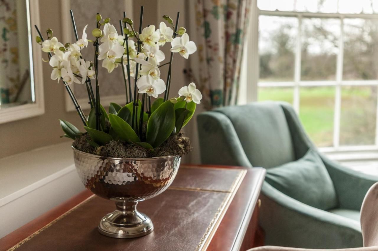 Отель Leixlip Manor Hotel Лейкслип