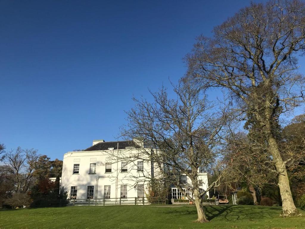 Отель Leixlip Manor Hotel Лейкслип