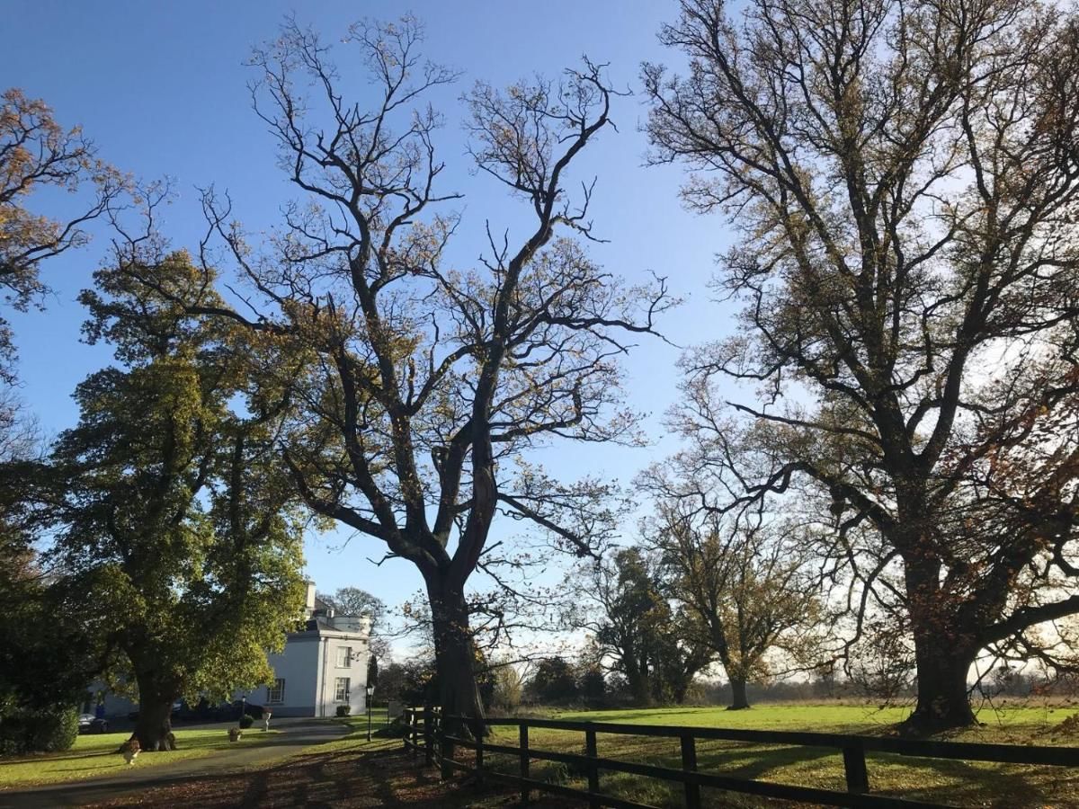 Отель Leixlip Manor Hotel Лейкслип-10